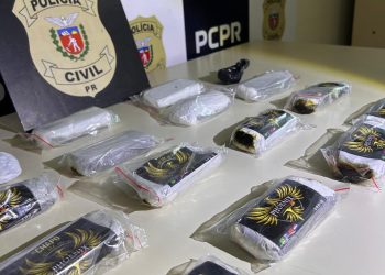 PCPR e GCM prendem homem em flagrante e apreendem 3 quilos de haxixe em Ponta Grossa