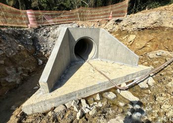 Ponte de Guaratuba ganha passagens de fauna para proteger animais silvestres