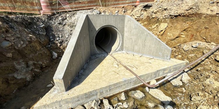 Ponte de Guaratuba ganha passagens de fauna para proteger animais silvestres