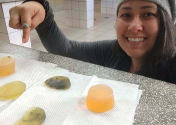 Alunos do Paraná chegam à semifinal de competição com projeto de sabonete antipulgas