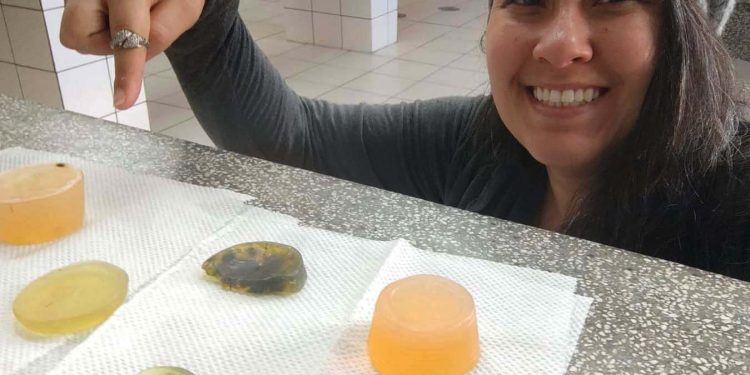 Alunos do Paraná chegam à semifinal de competição com projeto de sabonete antipulgas