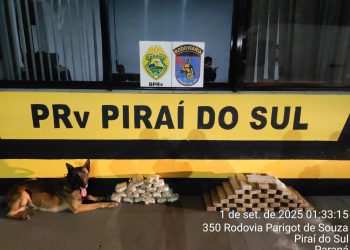 PMPR apreende entorpecentes em diferentes ônibus que seguiam para fora do Paraná