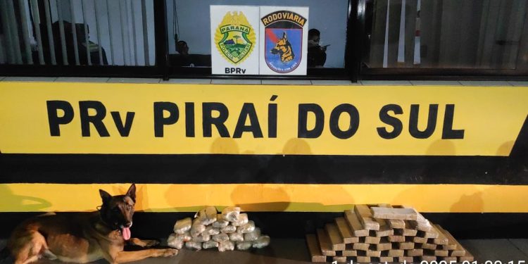 PMPR apreende entorpecentes em diferentes ônibus que seguiam para fora do Paraná