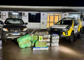 PMPR apreende 176 quilos de maconha e recupera veículo