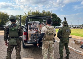 PMPR apreende quatro mil unidades de cigarros eletrônicos no Paraná