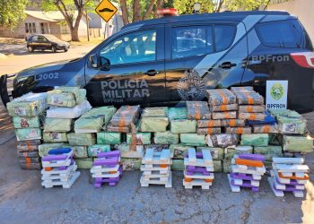 PMPR apreende 1 tonelada de maconha em Tapira: prejuízo ao crime é de R$ 2 milhões