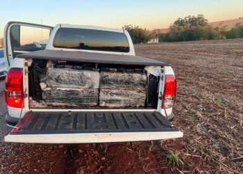 PMPR e PF apreendem mais de 1,6 tonelada de maconha em chácara