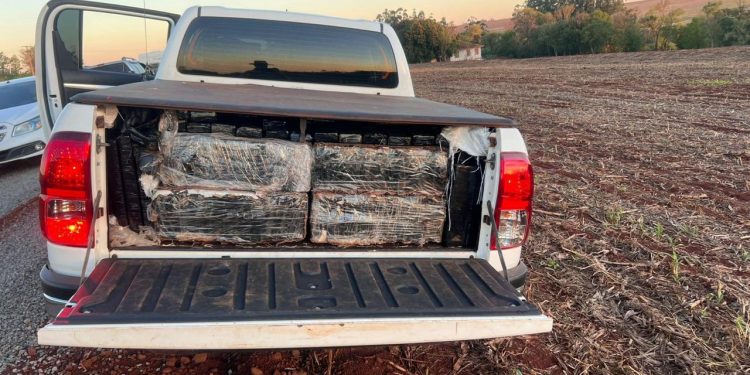 PMPR e PF apreendem mais de 1,6 tonelada de maconha em chácara