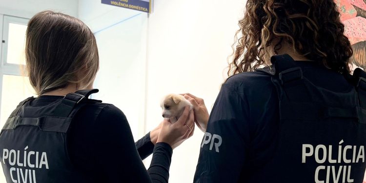 PCPR prende homem em flagrante por perseguição e maus-tratos a animais em Araucária