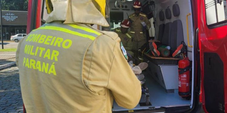 Corpo de Bombeiros do Paraná registra 300 ataques de cachorros desde o início do ano