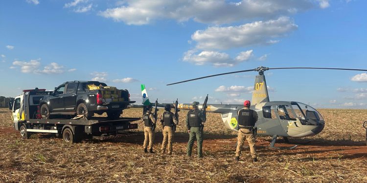 PMPR apreende quase uma tonelada de maconha na área rural de Santa Mônica