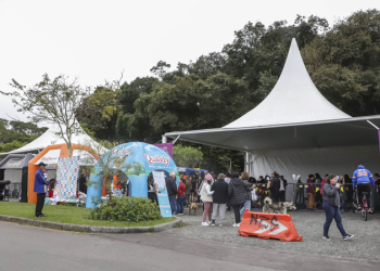 Amigo Bicho: sábado tem adoção de cães e bênção de animais com freis capuchinhos