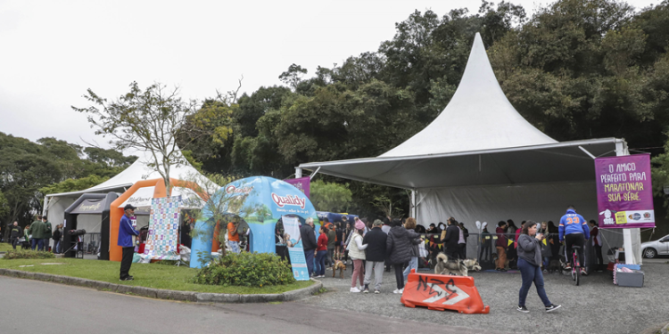 Amigo Bicho: sábado tem adoção de cães e bênção de animais com freis capuchinhos
