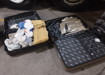 Guarda Municipal de Curitiba prende dupla em flagrante na Rodoferroviária por tráfico de drogas