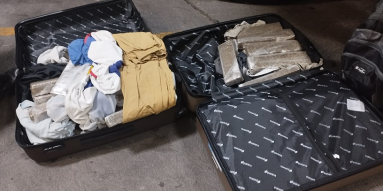 Guarda Municipal de Curitiba prende dupla em flagrante na Rodoferroviária por tráfico de drogas