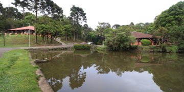 Festa no Parque Barreirinha terá diversão para adultos e crianças