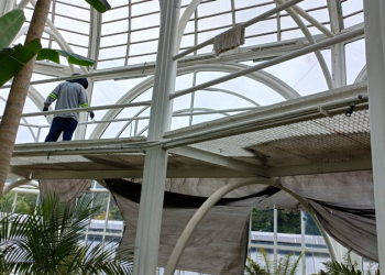 Estufa do Jardim Botânico entra em nova fase de manutenções e fica fechada até 31 de outubro