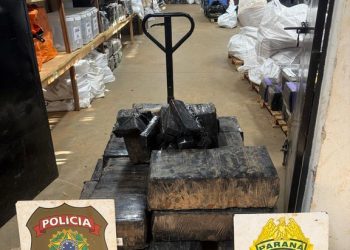 PF apreende 300 kg de droga em Foz do Iguaçu/PR