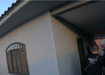 PCPR prende sete pessoas investigadas por desvio e adulteração de fertilizantes