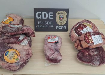 PCPR prende 7 pessoas em operação contra furtos de comércios