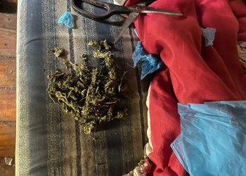 PCPR prende homem em flagrante por tráfico de drogas em Francisco Beltrão