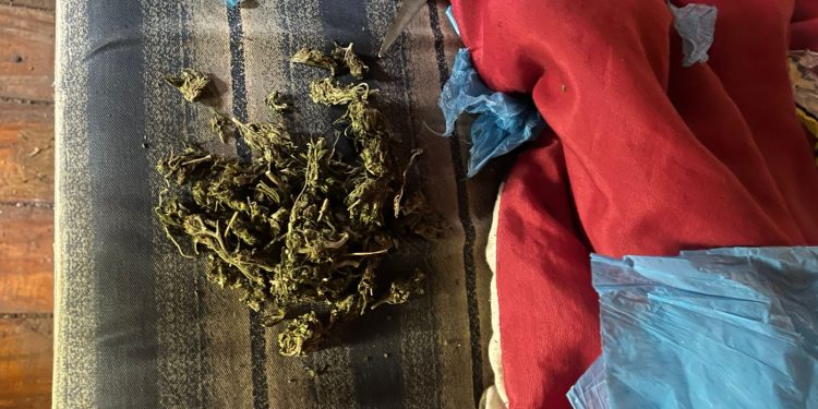 PCPR prende homem em flagrante por tráfico de drogas em Francisco Beltrão