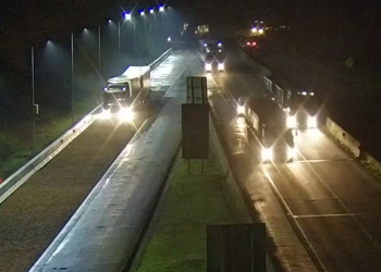 Caminhão carregado com frango perde freios e utiliza área de escape na BR-277