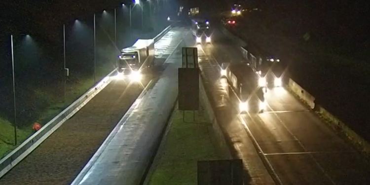 Caminhão carregado com frango perde freios e utiliza área de escape na BR-277