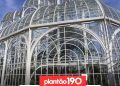 Serviços de manutenção e limpeza dos vidros vão fechar a estufa do Jardim Botânico para visitação