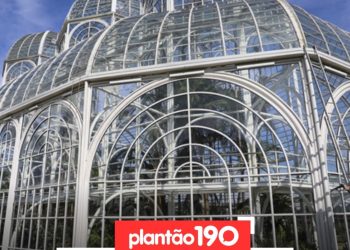 Serviços de manutenção e limpeza dos vidros vão fechar a estufa do Jardim Botânico para visitação