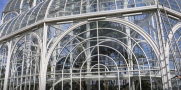 Serviços de manutenção e limpeza dos vidros vão fechar a estufa do Jardim Botânico para visitação