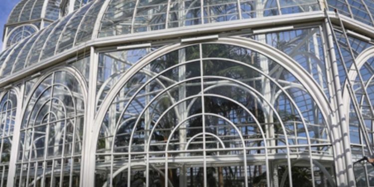 Serviços de manutenção e limpeza dos vidros vão fechar a estufa do Jardim Botânico para visitação