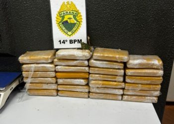 PM encontra tabletes de cocaína em região de mata