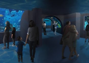 AquaFoz realiza Feirão de Vagas com mais de 150 oportunidades de emprego em Foz do Iguaçu