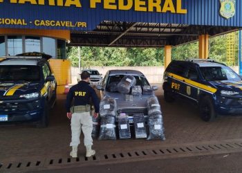 PRF intercepta mais de 178 kg de drogas em duas apreensões na BR-277