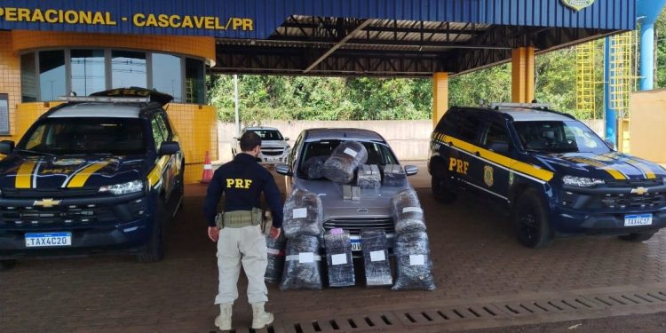 PRF intercepta mais de 178 kg de drogas em duas apreensões na BR-277