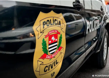 Polícia de SP apreende 2 mil garrafas de gin com notas fiscais falsas