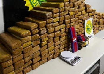 PM encontra grande quantidade de maconha ao atender ocorrência de roubo em Curitiba