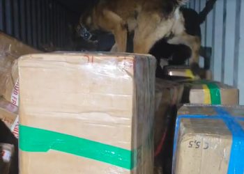 Operação integrada apreende mais de 11 toneladas de maconha na BR-277