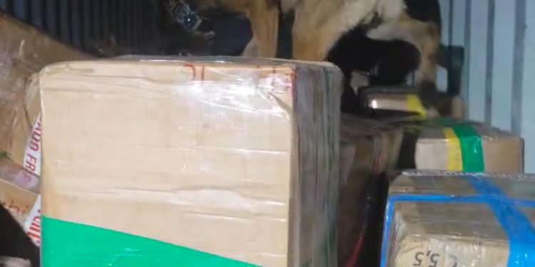 Operação integrada apreende mais de 11 toneladas de maconha na BR-277