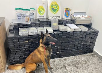 Três pessoas são presas e quase 700 kg de maconha são apreendidos em São José dos Pinhais