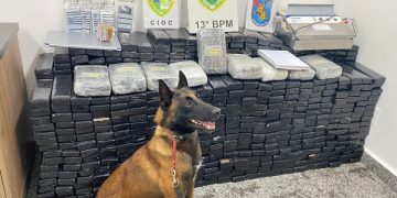 Três pessoas são presas e quase 700 kg de maconha são apreendidos em São José dos Pinhais