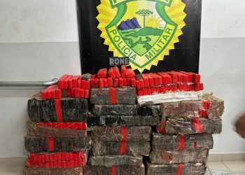RONE e Operações com Cães apreendem carregamento de maconha em Curitiba