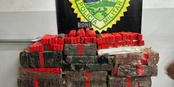 RONE e Operações com Cães apreendem carregamento de maconha em Curitiba