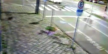 Motorista foge após colisão e é detido com drogas no Rebouças, em Curitiba