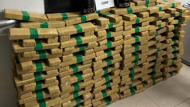 ROTAM e CORP apreendem carregamento de maconha na CIC