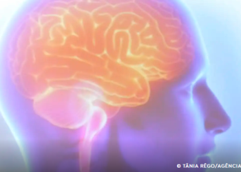 AVC mata uma pessoa a cada seis minutos no Brasil