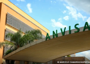 Anvisa restringe venda de azeite, sal do himalaia e chá; confira