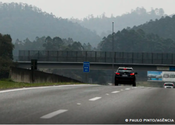 Consórcio PR vence leilão do Lote 4 de Rodovias do Paraná