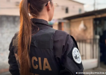 PF prende homem que disseminava pornografia infantil na dark web